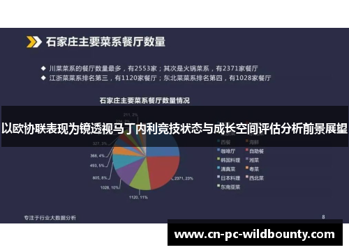 以欧协联表现为镜透视马丁内利竞技状态与成长空间评估分析前景展望
