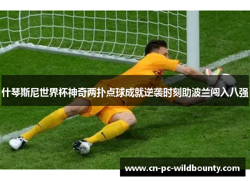 什琴斯尼世界杯神奇两扑点球成就逆袭时刻助波兰闯入八强