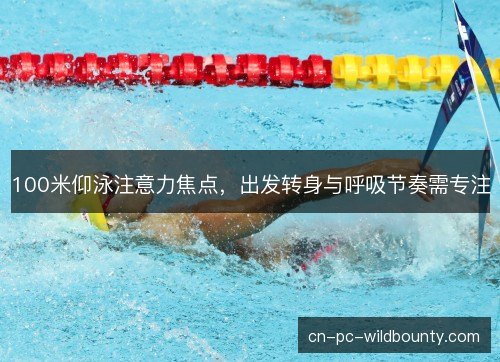 100米仰泳注意力焦点，出发转身与呼吸节奏需专注